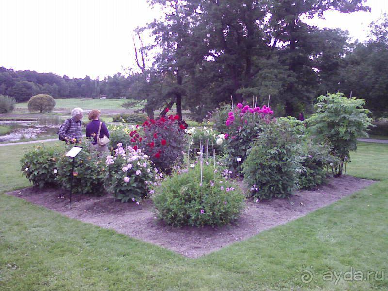 Ботанический сад им. Бергиуса