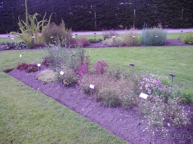 Ботанический сад им. Бергиуса