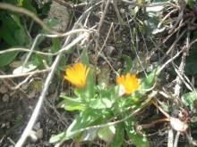 Древний город, который потрясает