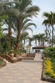 Royal Regina Resort 4