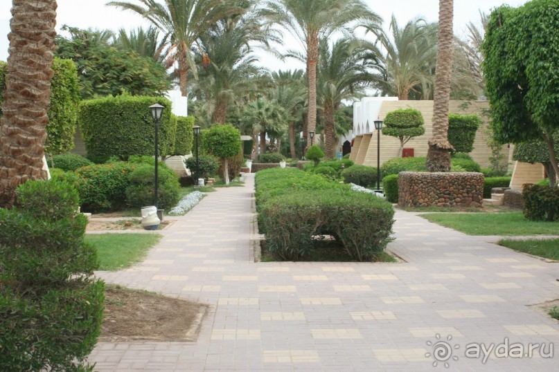 Royal Regina Resort 4