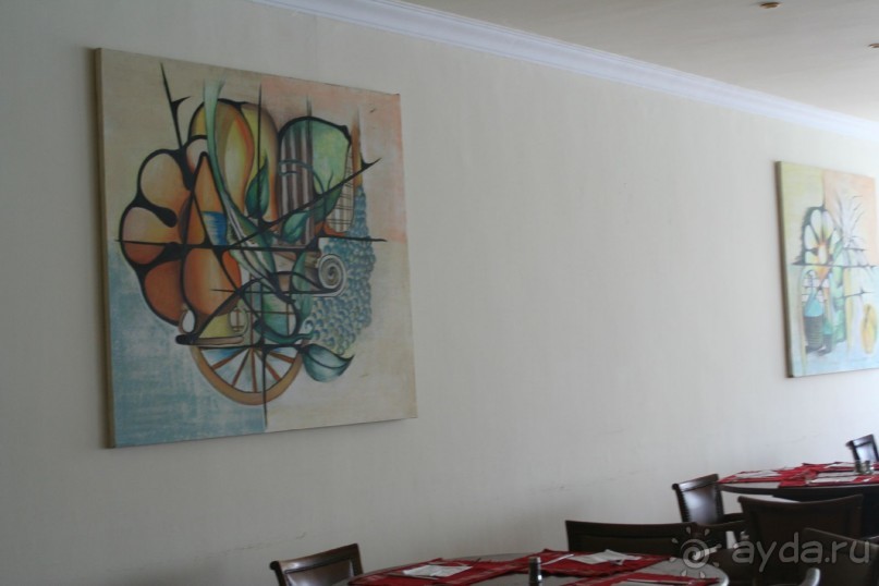 Royal Regina Resort 4