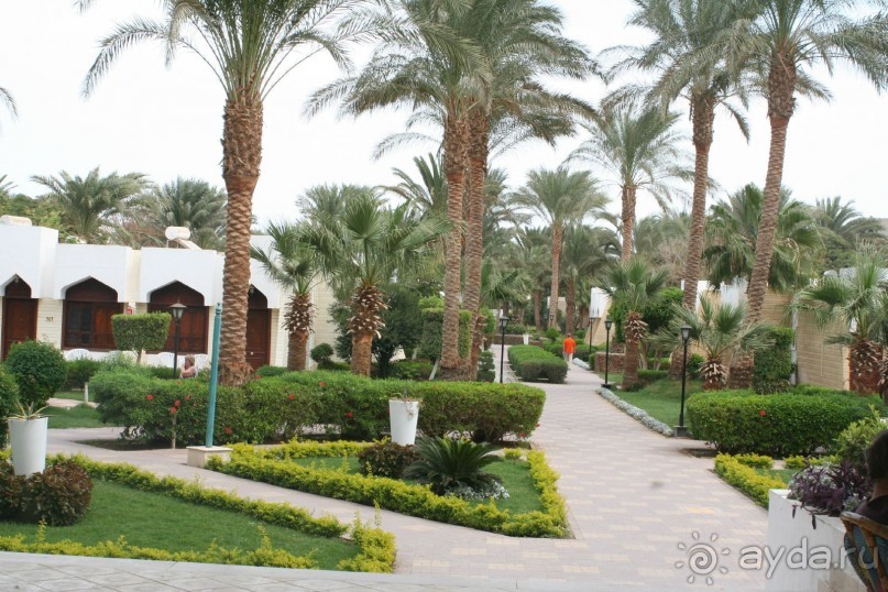 фото Royal Regina Resort 