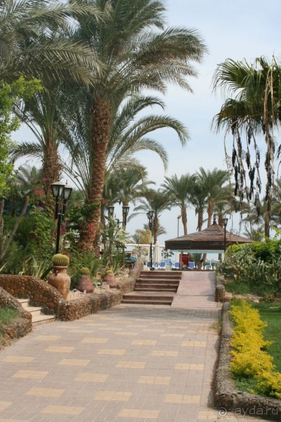 фото Royal Regina Resort 