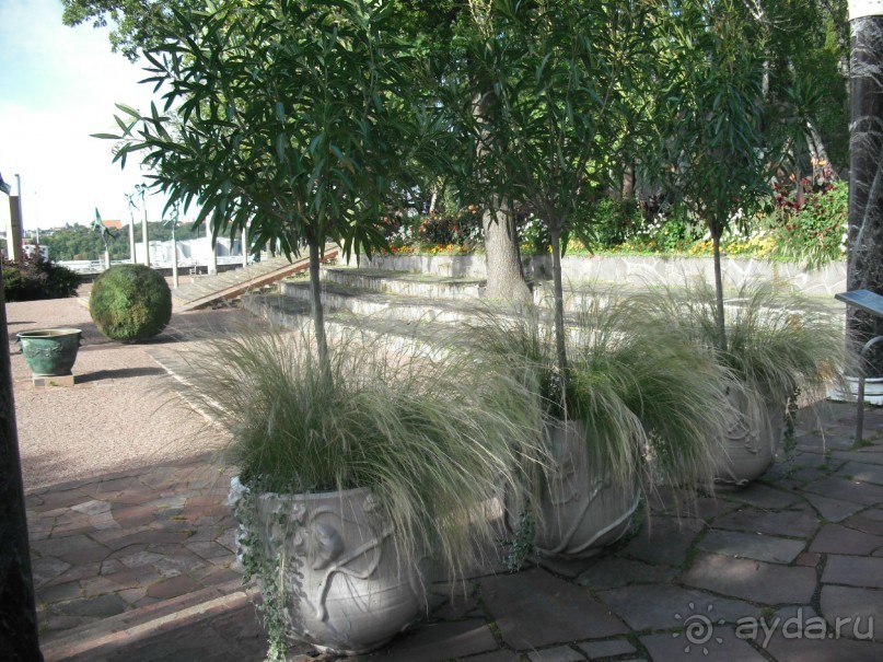 Неповторимый сад четы Миллс