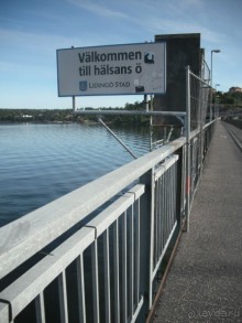 Неповторимый сад четы Миллс