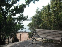 Неповторимый сад четы Миллс