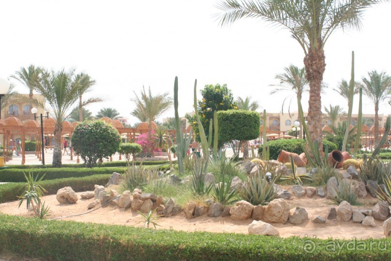 фото Desert Rose Resort