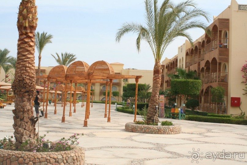 фото Desert Rose Resort