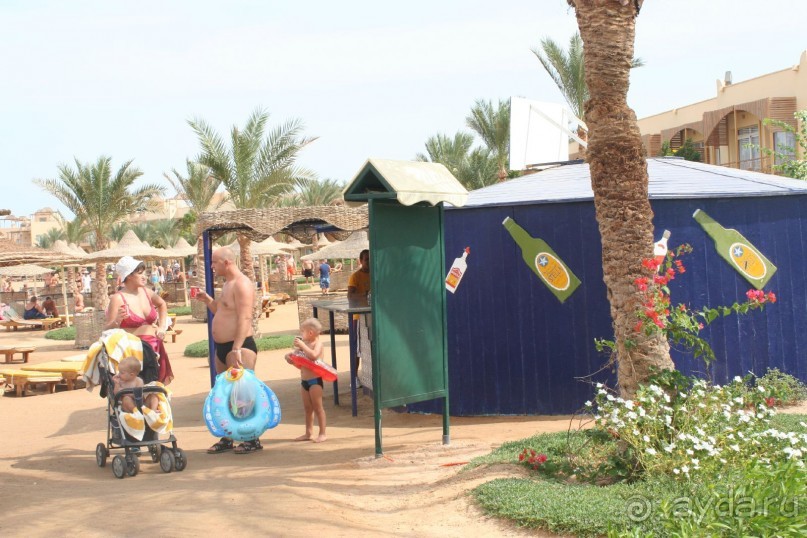 фото Desert Rose Resort