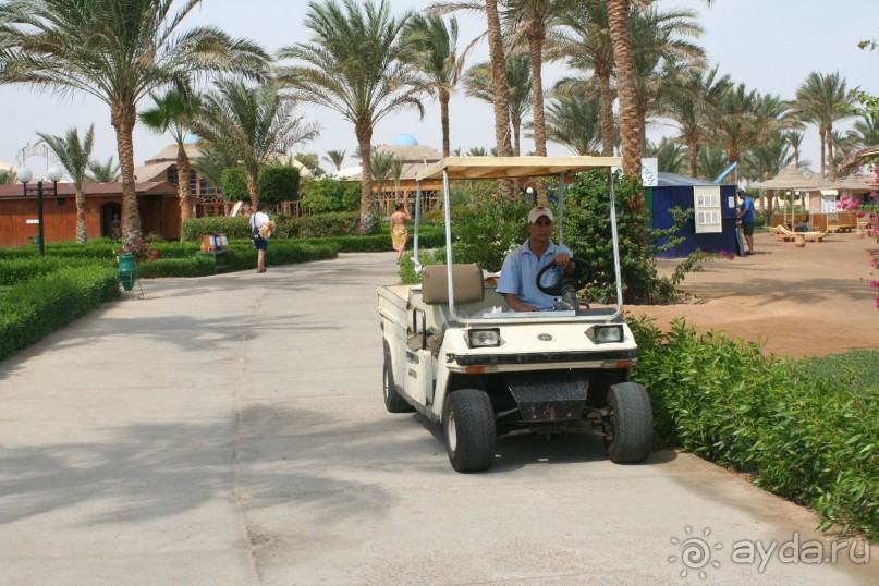 фото Desert Rose Resort