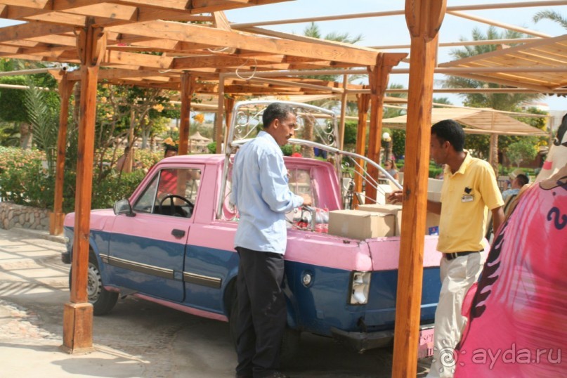 фото Desert Rose Resort