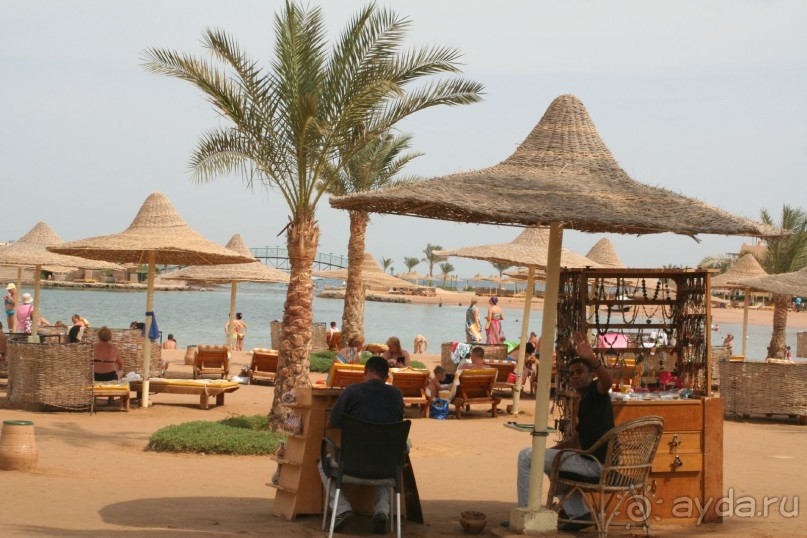 фото Desert Rose Resort