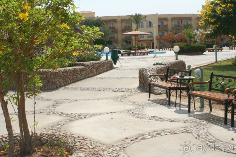 фото Desert Rose Resort