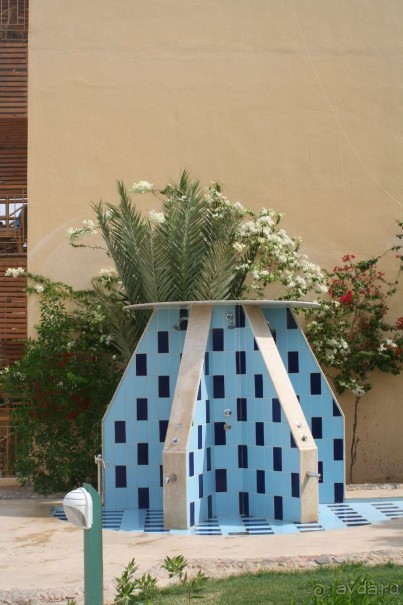 фото Desert Rose Resort