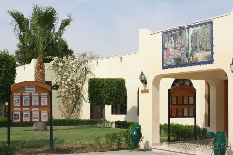 фото Desert Rose Resort