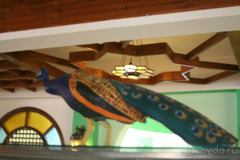 фото Desert Rose Resort