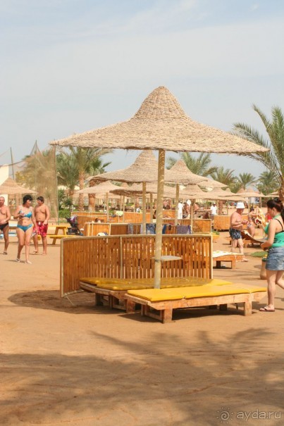 фото Desert Rose Resort