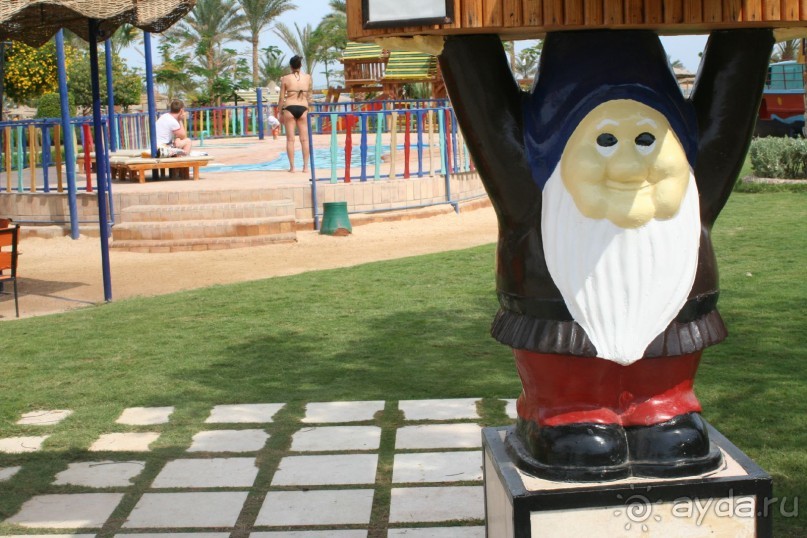 фото Desert Rose Resort