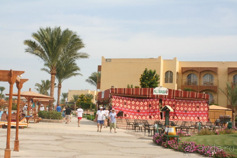 фото Desert Rose Resort