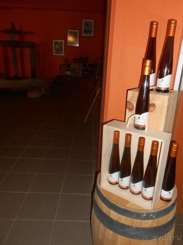 Критская амброзия