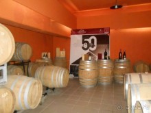 Критская амброзия