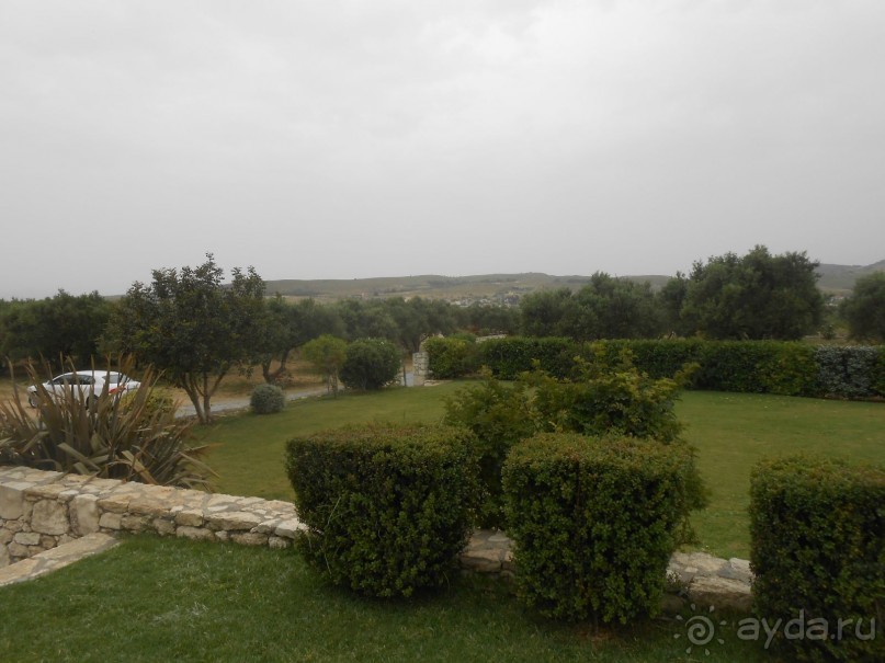 Критская амброзия