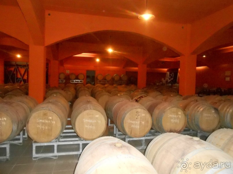 Критская амброзия