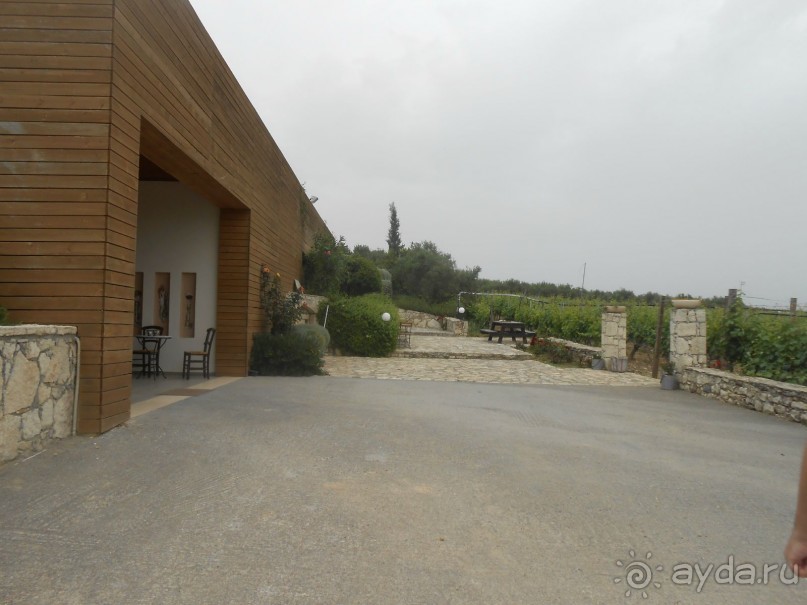 Критская амброзия