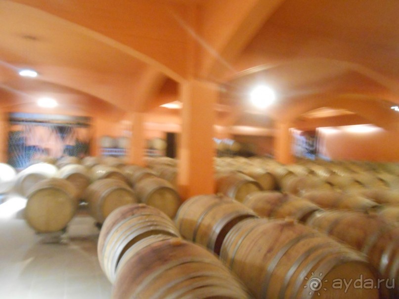 Критская амброзия