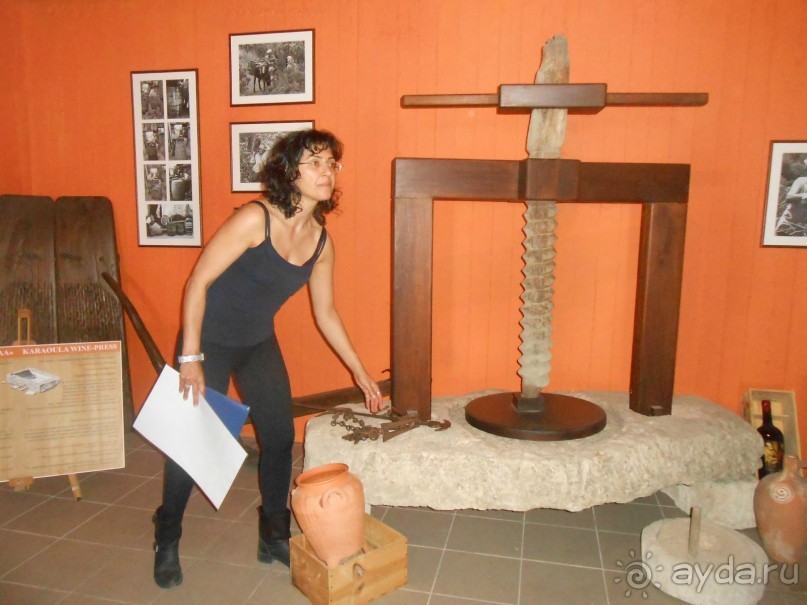 Критская амброзия