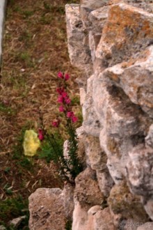 Улочки Старого Нессебра