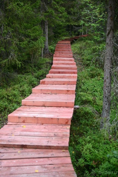 Мосточки к Ботаническому Саду