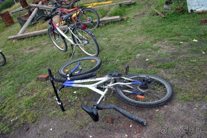 Аренда велосипедов находится прямо за гостиницей "Петербургская"