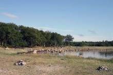 Кемь-Соловецкие острова и обратно