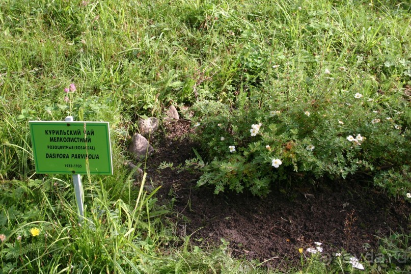 Кемь-Соловецкие острова и обратно