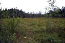 Кемь-Соловецкие острова и обратно