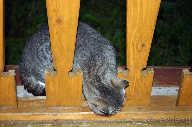 Кемь-Соловецкие острова и обратно