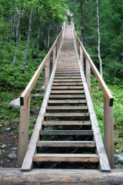 Вся лестница целиком с кучей ступенек