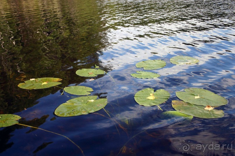 Кемь-Соловецкие острова и обратно