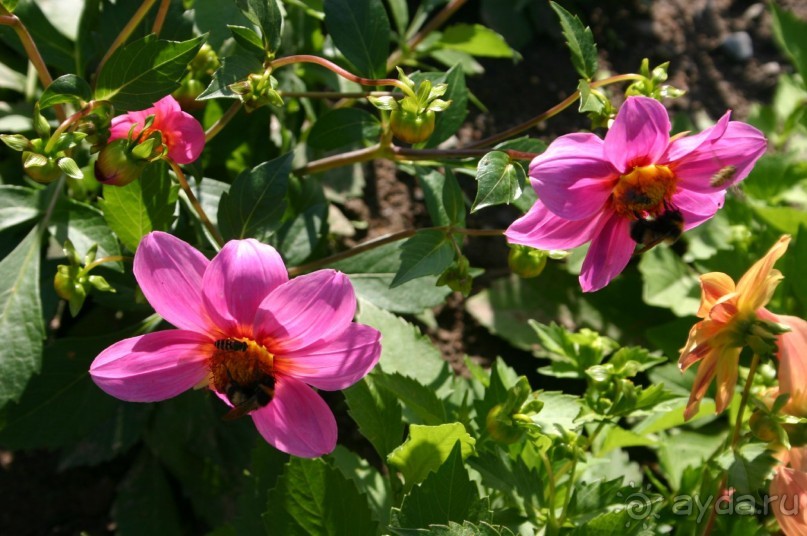 Кемь-Соловецкие острова и обратно