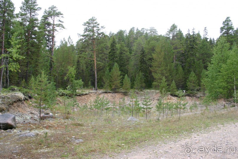 Кемь-Соловецкие острова и обратно