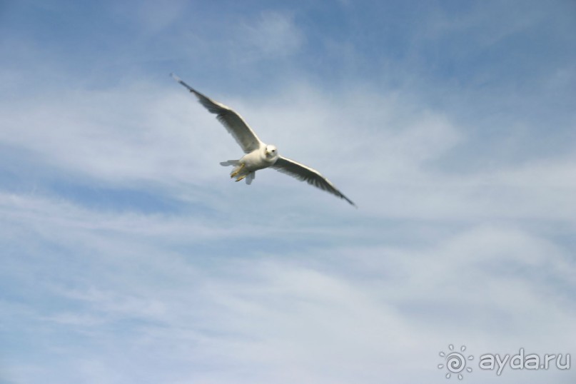 Кемь-Соловецкие острова и обратно