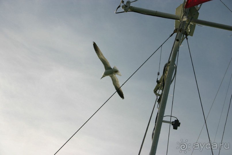 Кемь-Соловецкие острова и обратно