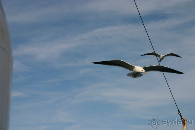 Кемь-Соловецкие острова и обратно