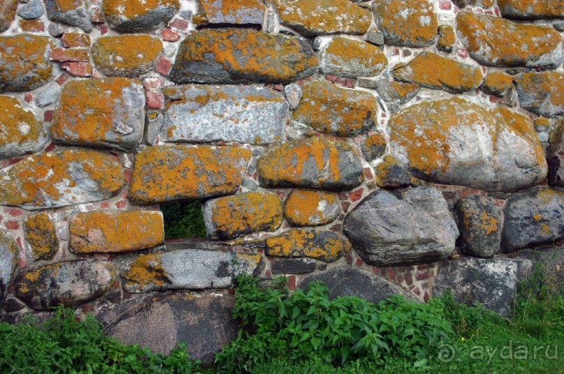 Мох на камнях Соловецкого монастыря становится апельсинового цвета осенью.