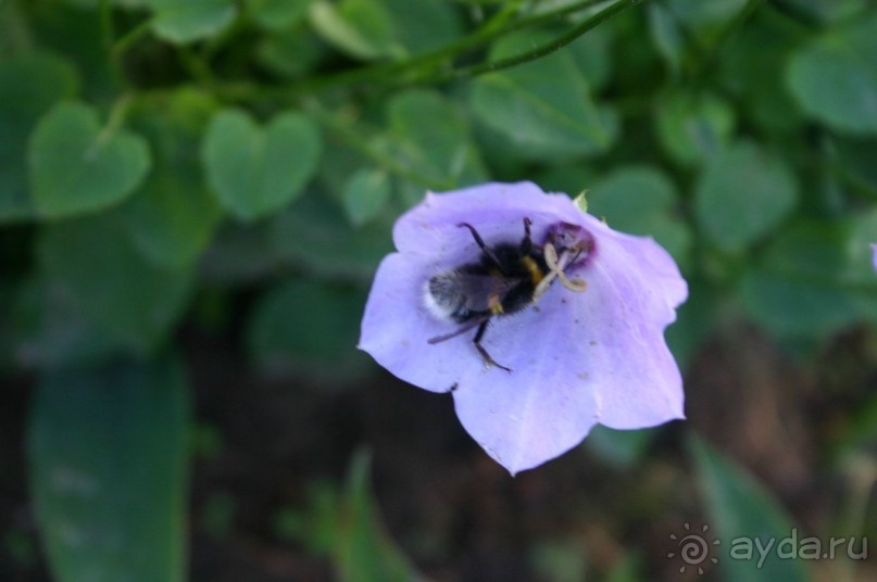 Кемь-Соловецкие острова и обратно