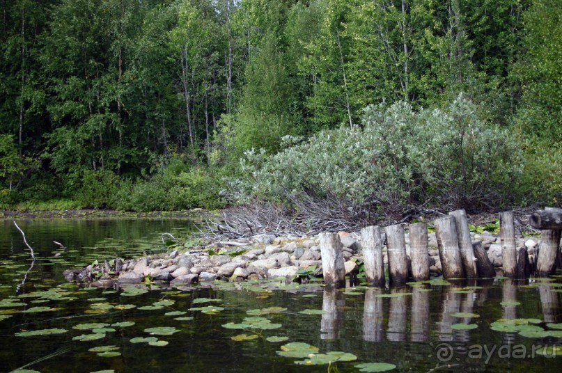 Кемь-Соловецкие острова и обратно