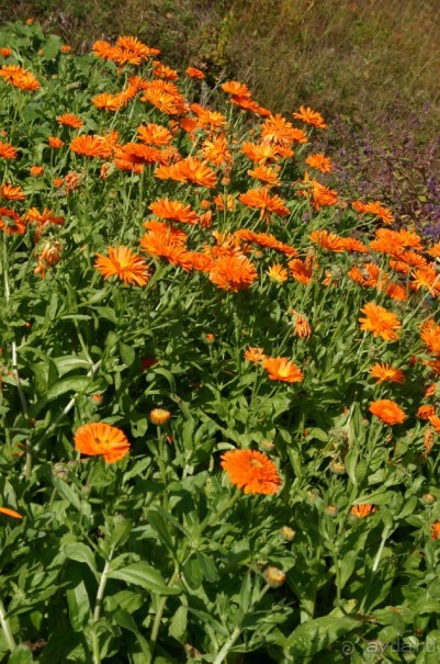 Кемь-Соловецкие острова и обратно