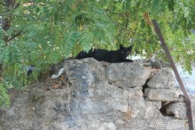 Поселок Афитос